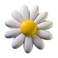 striking romantic baroque A single, white daisy, with yellow center, NO BACKGROUND with Transparent Background. genuine png
