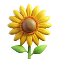 glorious rustic A single, yellow sunflower, facing forward, NO BACKGROUND with Transparent Background. 4K png