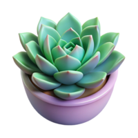 spectacular calm industrial Succulent plant NO BACKGROUND with Transparent Background. gallery standard png