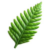 extraordinary artistic Fern leaf NO BACKGROUND with Transparent Background. gallery standard png