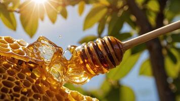 Close-up of honey dripping from a honeycomb with sunlight filtering through leaves. photo