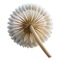 stunning energetic rustic Close-up of dandelion seed head NO BACKGROUND with Transparent Background. artisan png