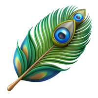immaculate signature Peacock feather NO BACKGROUND with Transparent Background. png