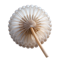 impressive iconic Close-up of a dandelion seed head NO BACKGROUND with Transparent Background. png