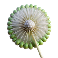 coveted artistic Close-up of a dandelion seed head NO BACKGROUND with Transparent Background. ultra HD png