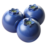 coveted renaissance Group of three blueberries NO BACKGROUND with Transparent Background. top-tier png