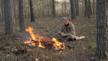 Man Sitting by Campfire in Forest Practicing Bushcraft Survival, Solo camper warming by fire in pine forest, enjoying peaceful bushcraft survival experience video