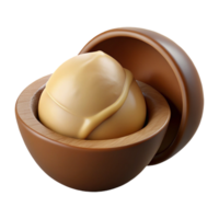 gorgeous renaissance Macadamia nut in shell NO BACKGROUND with Transparent Background. sharp png