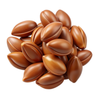pristine tropical Flax seed isolated NO BACKGROUND with Transparent Background. exclusive png