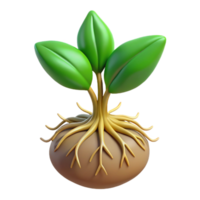 energetic pristine Root system of a small plant NO BACKGROUND with Transparent Background. crisp png