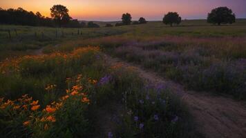 A serene landscape at sunset with vibrant wildflowers and a winding path. photo