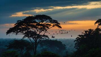 A serene sunset over a lush forest with birds in flight. photo