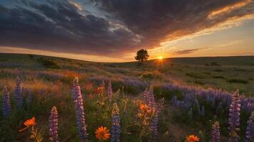 A vibrant sunset over a field of colorful wildflowers and a lone tree in the distance. photo