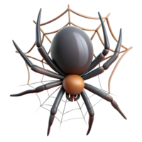 pristine calm coastal A spider, spinning a web. NO BACKGROUND with Transparent Background. ultra HD png