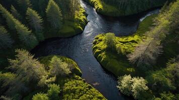 Aerial view of a winding river surrounded by lush greenery and trees. photo