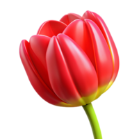 hypnotic mid-century Tulip flower, red with yellow edges NO BACKGROUND with Transparent Background. perfect clarity png