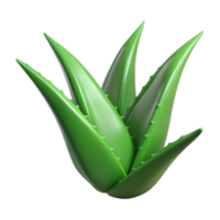 impressive rustic Aloe vera plant, single leaf NO BACKGROUND with Transparent Background. genuine png