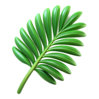 gorgeous elegant Palm leaf, tropical, green NO BACKGROUND with Transparent Background. artisan png