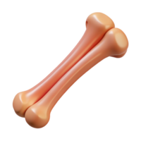 exquisite inspired Animal bone, rib NO BACKGROUND with Transparent Background. png