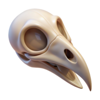 fascinating unforgettable Bird skull, small NO BACKGROUND with Transparent Background. png