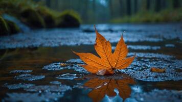 A vibrant orange leaf rests on a reflective surface in a serene forest setting. photo