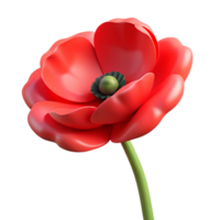 exquisite contemporary A single, red poppy flower. NO BACKGROUND with Transparent Background. expertly shot png
