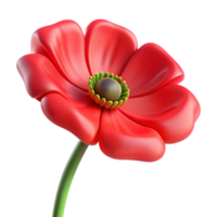 glorious rare A single, red poppy flower. NO BACKGROUND with Transparent Background. png