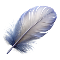 impressive dramatic rustic A floating, fluffy feather with delicate, feathery details. NO BACKGROUND with Transparent Background. artisan png