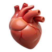 fascinating geometric A single, beating human heart, anatomically accurate. NO BACKGROUND with Transparent Background. detailed png