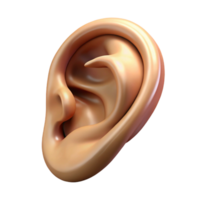 glorious romantic surreal A single, realistic human ear. NO BACKGROUND with Transparent Background. premium png