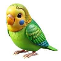 exceptional traditional A budgerigar, green and yellow, NO BACKGROUND with Transparent Background. handcrafted png
