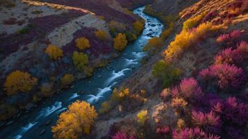 Aerial view of a river winding through colorful autumn foliage. photo