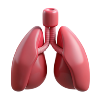 dramatic striking Lungs, human, NO BACKGROUND with Transparent Background. high quality png