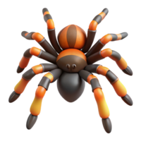 harmonious elegant A tarantula, NO BACKGROUND with Transparent Background. flawless png