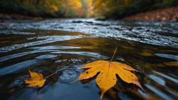 A serene river scene with autumn leaves floating on the water's surface. photo