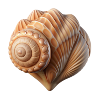 harmonious alluring A seashell with intricate patterns. NO BACKGROUND with Transparent Background. expertly shot png