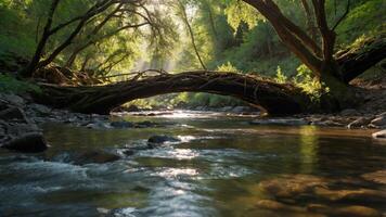 A serene river flows beneath a lush, green arch of branches, illuminated by sunlight. photo