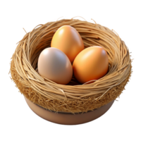 glorious renaissance Bird's nest NO BACKGROUND with Transparent Background. premium png