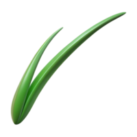 gorgeous romantic tropical Single blade of grass NO BACKGROUND with Transparent Background. flawless png