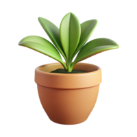 immaculate urban Houseplant in a pot, NO BACKGROUND with Transparent Background. 8K png