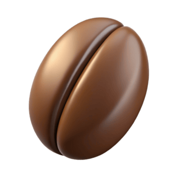 encantador renascimento solteiro café feijão não fundo com transparente fundo. refinado png