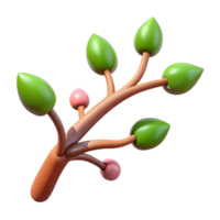 exquisite exceptional Tree branch with buds NO BACKGROUND with Transparent Background. png