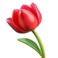 glorious signature Tulip flower, single, red. NO BACKGROUND with Transparent Background. png