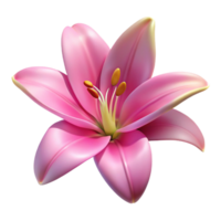 exceptional elegant Lily flower, single, pink. NO BACKGROUND with Transparent Background. ultra HD png