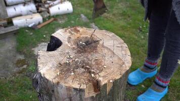 Cutting branches with an axe. A girl cuts a branch with an axe video