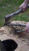 Cutting thin branches with axe. Cutting branches on an oak tree deck video