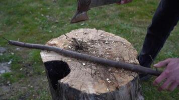 Cutting thin branches with an axe branches on an oak tree deck video