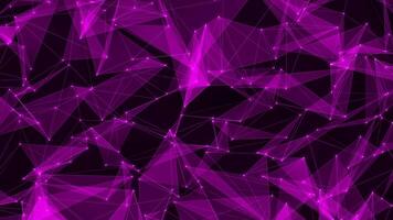 pink purple plexus technology data network background video