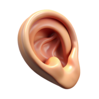 dramatic joyful modern A realistic rendering of a single human ear with pointed tip, NO BACKGROUND with Transparent Background. crisp png