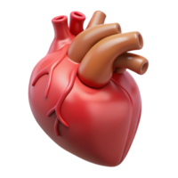 spectacular bohemian A human heart, anatomically correct. NO BACKGROUND with Transparent Background. original png